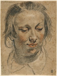 En kvinnas huvud av Jacob Jordaens