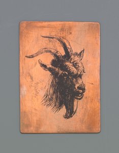 Huvudet av en bock av Jacob Maris