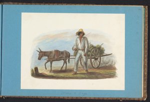 Man med vagn med bananer Album med teckningar av Surinam, s.44 (50) (serietitel)