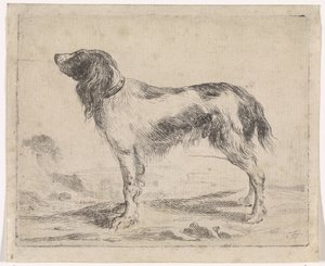 stående hund Hundar (serietitel)