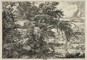 Stuga på toppen av en kulle av Jacob van Ruisdael