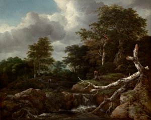 Skogsscen, ca. 1655. av Jacob van Ruisdael