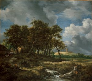Landskap nära Muiderberg, tidigt 1650-tal av Jacob van Ruisdael