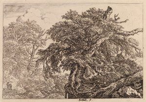  av Jacob van Ruisdael