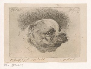 Mopshuvud av Jacobus Cornelis Gaal