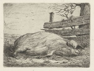 Liggande vildsvin av Jacobus Cornelis Gaal