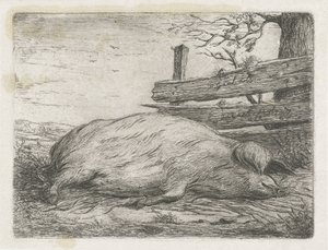 Liggande vildsvin av Jacobus Cornelis Gaal