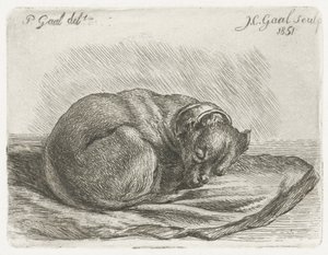 Sovande hund, liggande på en filt av Jacobus Cornelis Gaal
