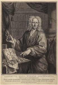 Porträtt av Albert Seba, apotekare och berömd samlare av naturalier av Jacobus Houbraken