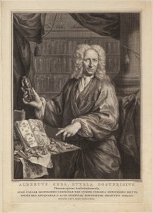 Porträtt av Albert Seba, apotekare och berömd samlare av naturhistoriska föremål av Jacobus Houbraken