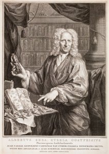 Porträtt av Albertus Seba, efter Jan Maurits Quinkhard av Jacobus Houbraken