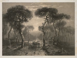 Verk av A. Calame, nr 13: Forest of Sierre in Valais av Jacomme and Cie. R. de Lancry, 12, Paris