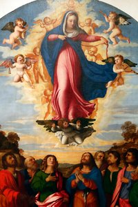 Jungfruns antagande, av Palma il Vecchio Serina 1513 (målning)
