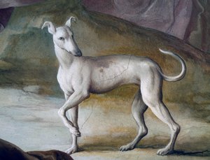 Hund, detalj från fresk av Jacopo Guarana (1720-1808), centralhallen i Villa Contarini, Valnogaredo, Veneto, Italien