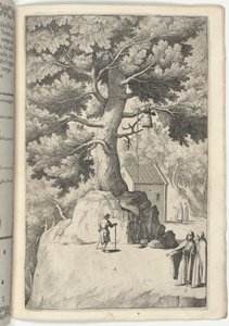Bokträd med klockan (Faggio della campana) [skylt X] av Jacopo Ligozzi