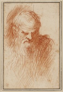 Huvudet av en skäggig man av Jacopo Palma