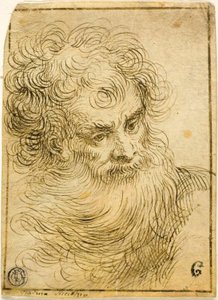 Head of Bearded Old Man (recto); Dekorativ skiss av blommor och löv (verso)