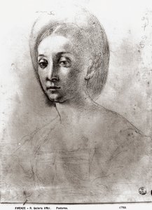 Head of a Woman (krita på papper) av Jacopo Pontormo
