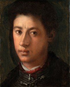 Porträtt av Alessandro de Medici 1510-1537, 1534-1535 av Jacopo Pontormo