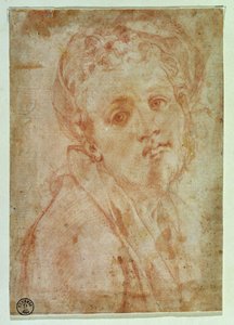 Självporträtt (röd krita på papper) av Jacopo Pontormo