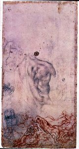 Studie till ett porträtt av Cosimo I Giovinetto med andra studier av vrida kroppar (svart och röd krita på papper) av Jacopo Pontormo