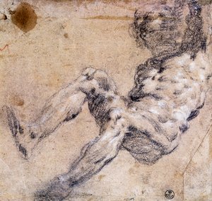 Studie av manlig naken av Jacopo Robusti Tintoretto