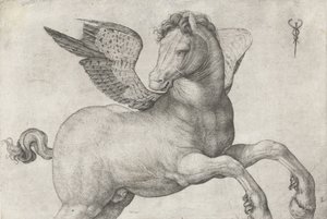Pegasus, 1509-16 av Jacopo de Barbari