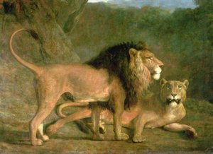 Ett lejon och en lejoninna i en klippig dal (olja på duk) av Jacques Laurent Agasse