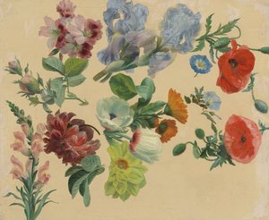Studier av sommarblommor