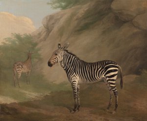 Zebra av Jacques-Laurent Agasse