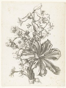 Bukett med en tulpan, en hyacint, brodiaea och påskliljor Diverses Fleurs mises en Boucquets (serietitel) av Jacques Bailly (I)