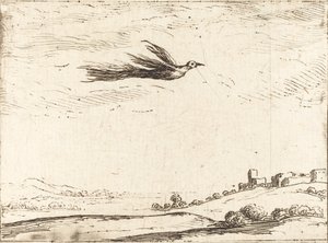 Paradisets fågel av Jacques Callot