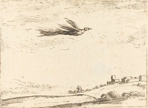Paradisets fågel av Jacques Callot