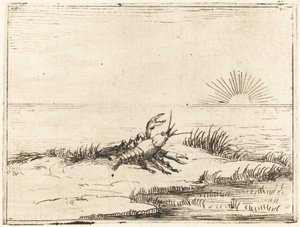 Kräftor tittar på solen av Jacques Callot