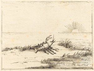 Kräftor tittar på solen av Jacques Callot