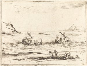 Delfiner och krokodiler av Jacques Callot