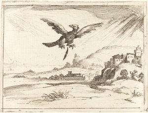 Örn som förlorar en gammal fjäder av Jacques Callot