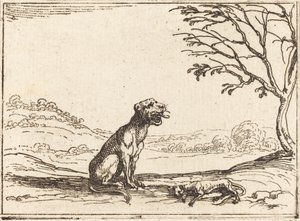 Lejoninna som sörjer sin unge av Jacques Callot