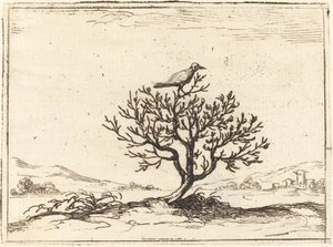 swedish av Jacques Callot
