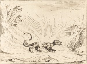 Salamander omgiven av lågor av Jacques Callot
