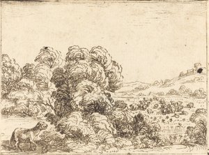 Får som kallar lamm av Jacques Callot