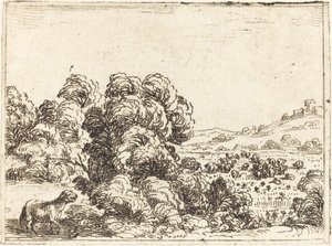 Får som kallar lamm av Jacques Callot