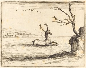 Stag i vattnet av Jacques Callot