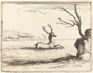 Stag i vattnet, 1628. av Jacques Callot