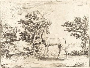 Doe. av Jacques Callot