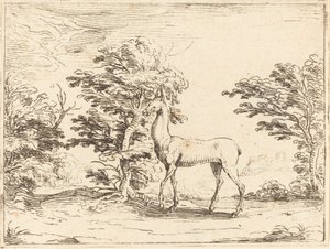 Doe. av Jacques Callot