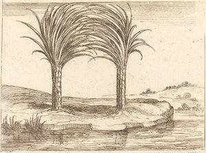 Två palmer av Jacques Callot