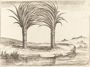Två palmer av Jacques Callot