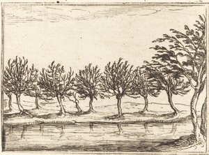 Willows vid vattenbrynet av Jacques Callot