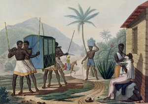 En Palanquin som bärs i Ile de France, från 
